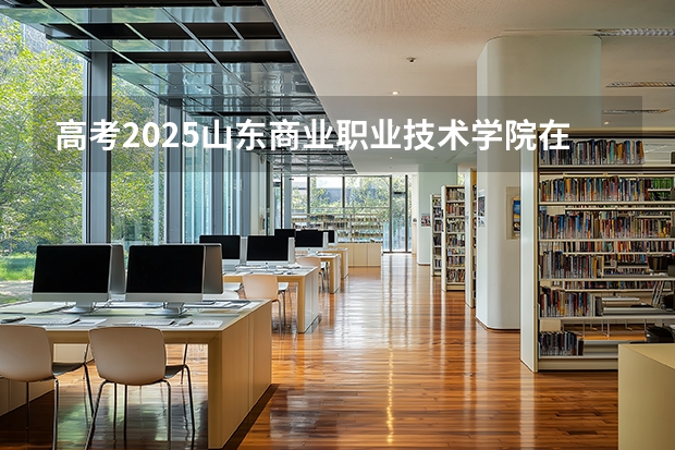 高考2025山东商业职业技术学院在山东艺术类投档分数线（2026参考）