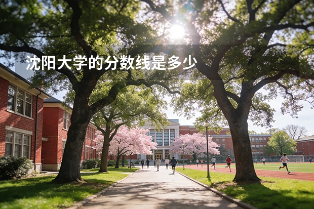 沈阳大学的分数线是多少