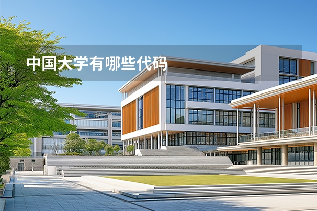 中国大学有哪些代码