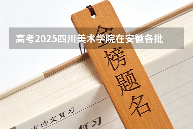 高考2025四川美术学院在安徽各批次选科要求（2026参考）