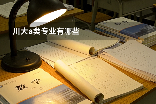 川大a类专业有哪些