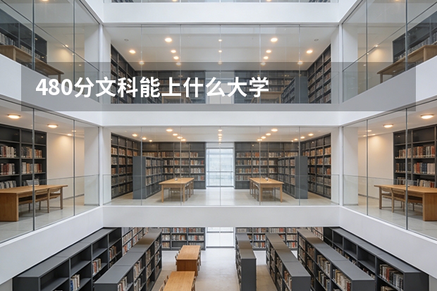 480分文科能上什么大学