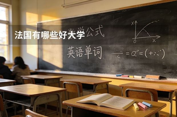 法国有哪些好大学