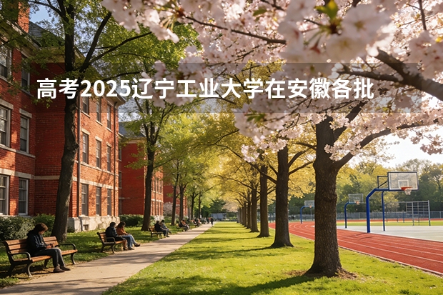 高考2025辽宁工业大学在安徽各批次选科要求（2026参考）