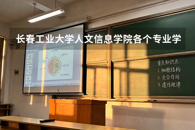 长春工业大学人文信息学院各个专业学费是多少