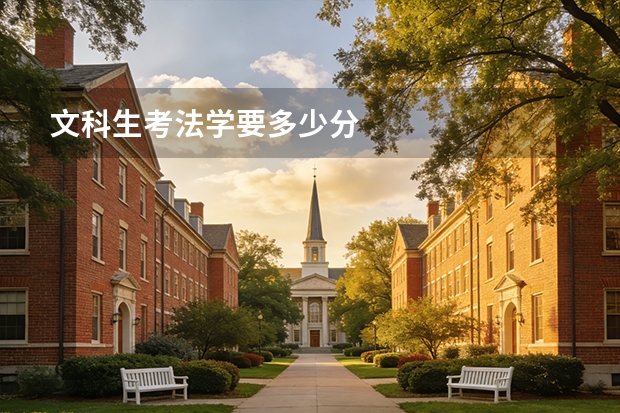 文科生考法学要多少分
