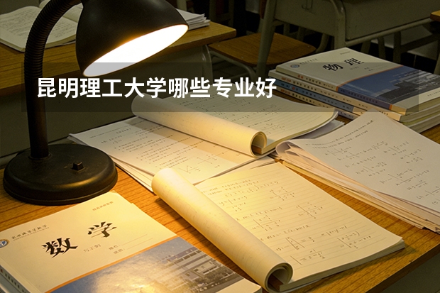 昆明理工大学哪些专业好