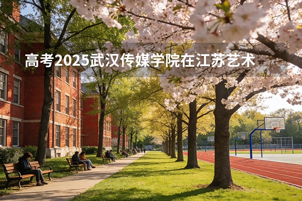 高考2025武汉传媒学院在江苏艺术类投档分数线（2026参考）