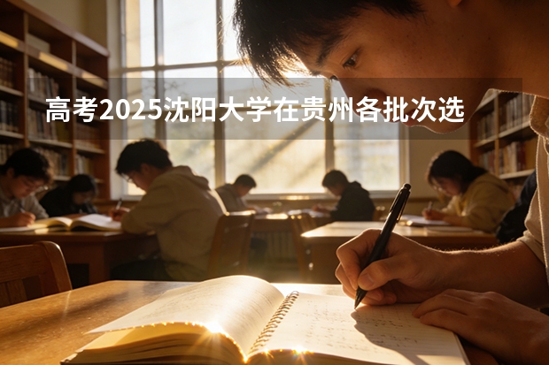 高考2025沈阳大学在贵州各批次选科要求（2026参考）