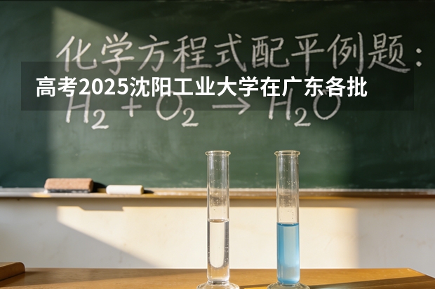 高考2025沈阳工业大学在广东各批次选科要求（2026参考）