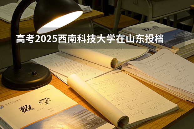 高考2025西南科技大学在山东投档分数线（2026参考）