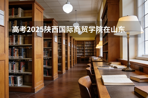 高考2025陕西国际商贸学院在山东艺术类投档分数线（2026参考）