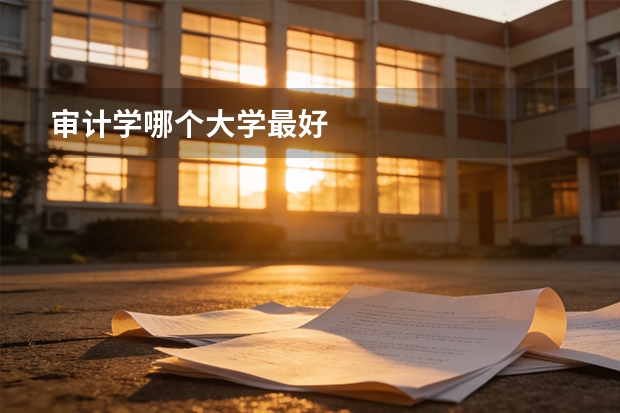 审计学哪个大学最好