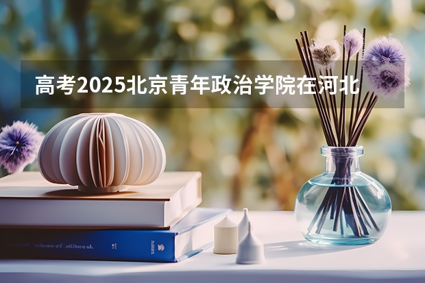高考2025北京青年政治学院在河北艺术类投档分数线（2026参考）
