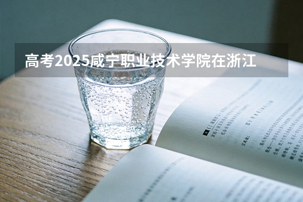 高考2025咸宁职业技术学院在浙江艺术类投档分数线（2026参考）