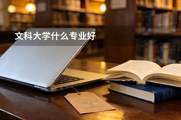 文科大学什么专业好