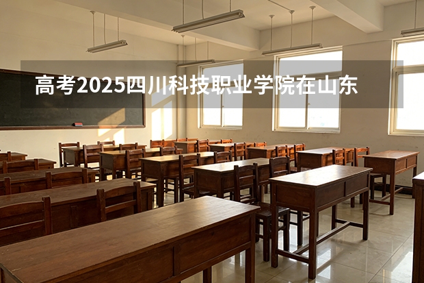 高考2025四川科技职业学院在山东艺术类投档分数线（2026参考）