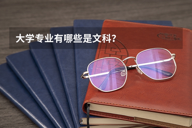 大学专业有哪些是文科？