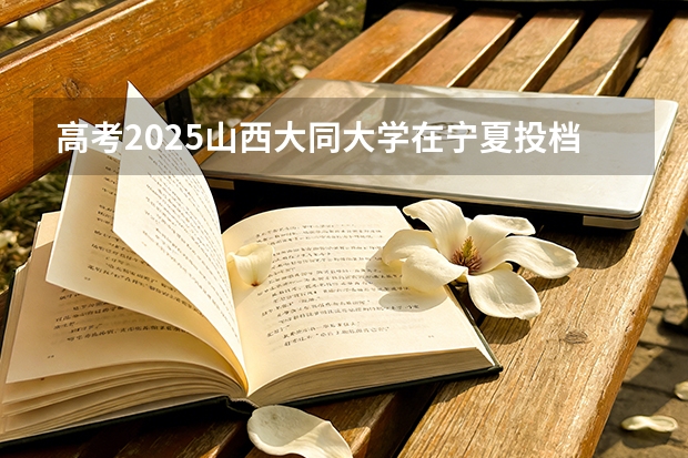 高考2025山西大同大学在宁夏投档分数线（2026参考）