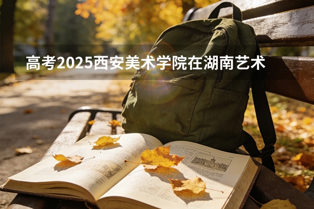 高考2025西安美术学院在湖南艺术类投档分数线（2026参考）