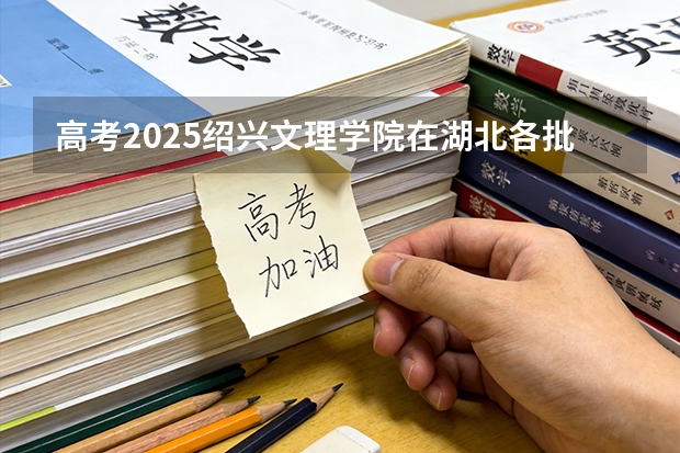 高考2025绍兴文理学院在湖北各批次选科要求（2026参考）