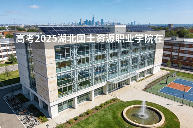 高考2025湖北国土资源职业学院在山东艺术类投档分数线（2026参考）