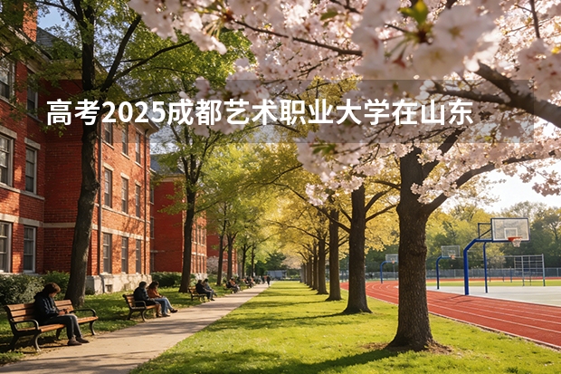 高考2025成都艺术职业大学在山东艺术类投档分数线（2026参考）