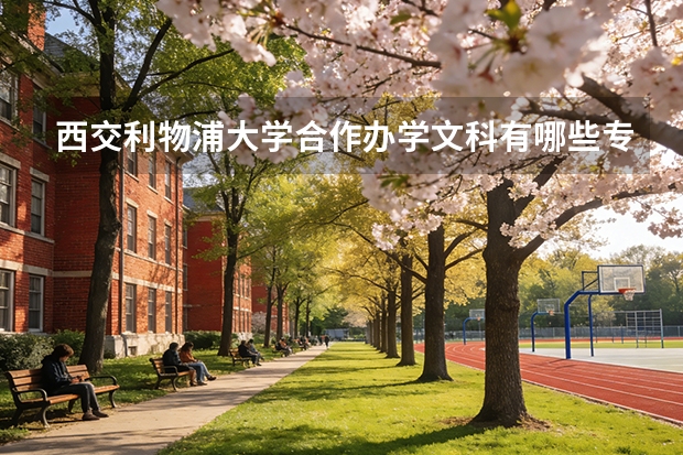 西交利物浦大学合作办学文科有哪些专业