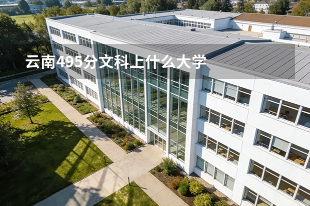 云南495分文科上什么大学