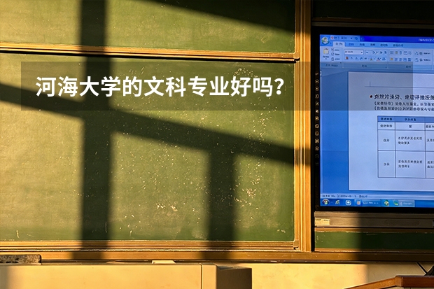 河海大学的文科专业好吗？