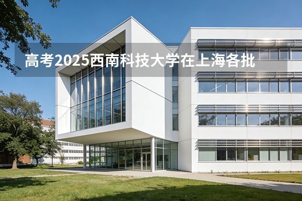 高考2025西南科技大学在上海各批次选科要求（2026参考）