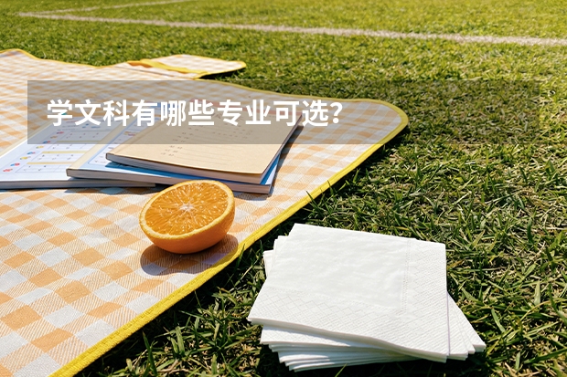 学文科有哪些专业可选？
