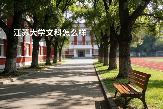 江苏大学文科怎么样