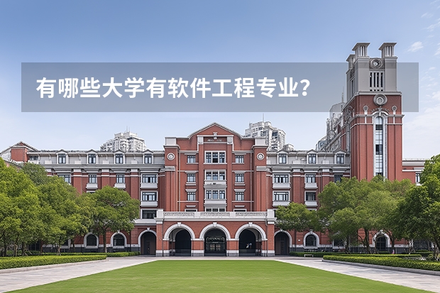 有哪些大学有软件工程专业？