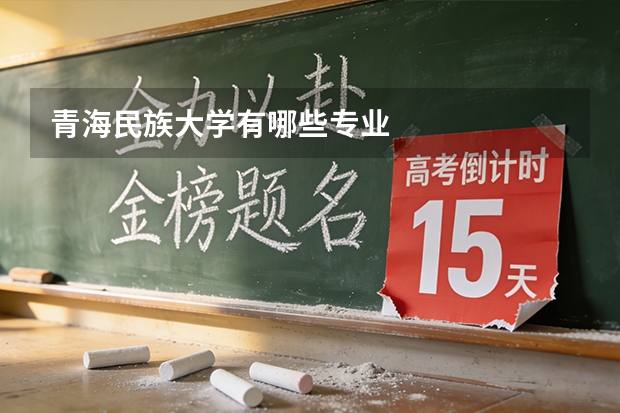 青海民族大学有哪些专业