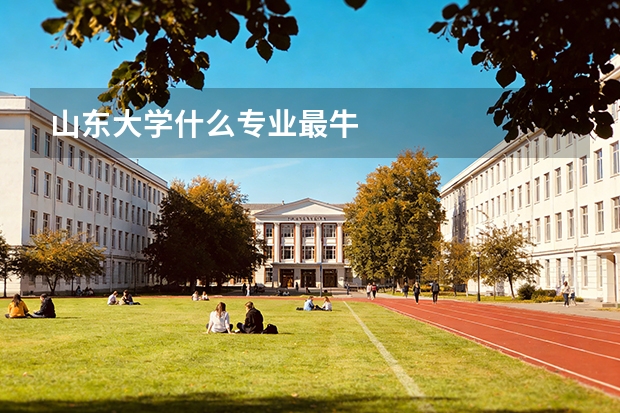 山东大学什么专业最牛