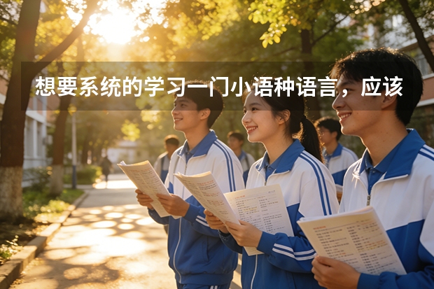 想要系统的学习一门小语种语言，应该选择什么院校？