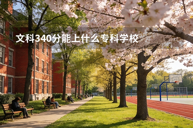 文科340分能上什么专科学校