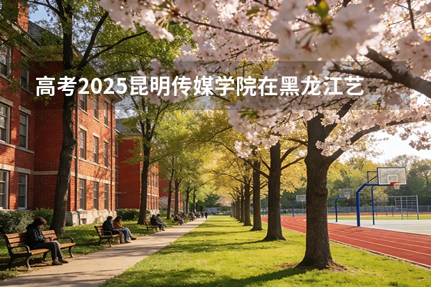 高考2025昆明传媒学院在黑龙江艺术类投档分数线（2026参考）