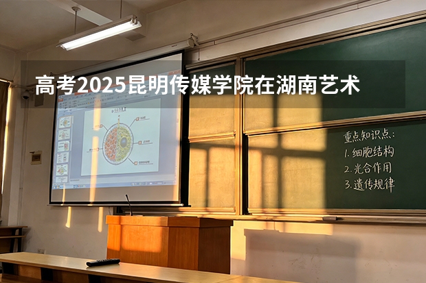 高考2025昆明传媒学院在湖南艺术类投档分数线（2026参考）