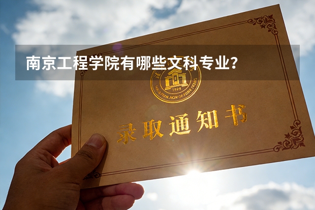 南京工程学院有哪些文科专业？