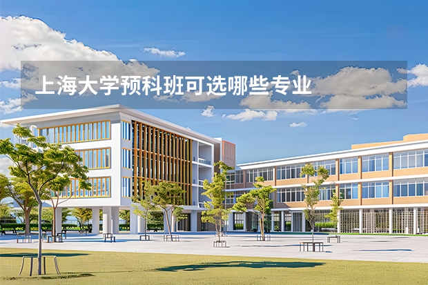 上海大学预科班可选哪些专业