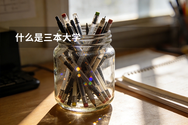 什么是三本大学