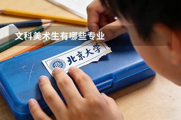 文科美术生有哪些专业