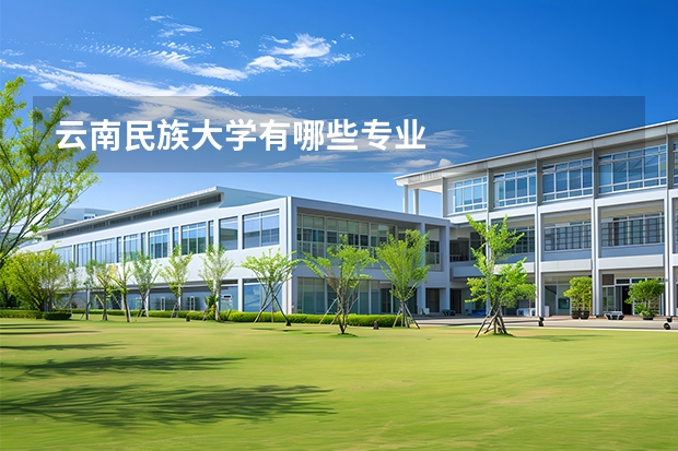 云南民族大学有哪些专业