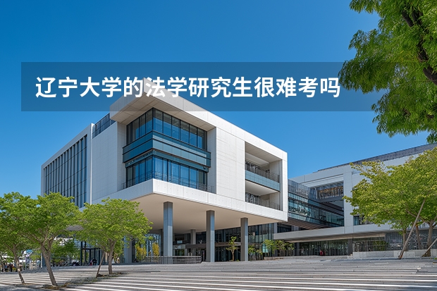 辽宁大学的法学研究生很难考吗