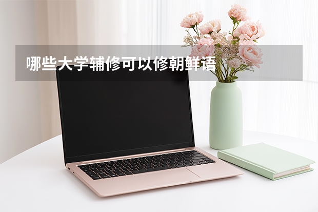 哪些大学辅修可以修朝鲜语
