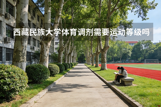 西藏民族大学体育调剂需要运动等级吗