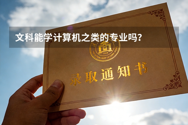 文科能学计算机之类的专业吗？