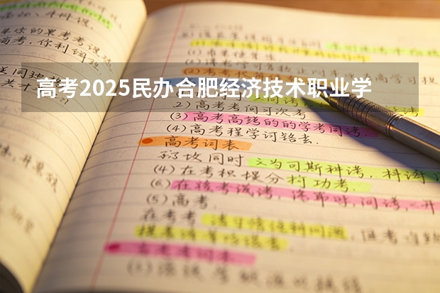 高考2025民办合肥经济技术职业学院在安徽艺术类投档分数线（2026参考）